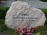 Ole Strandgaard Rasmussen.JPG